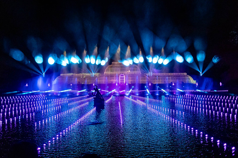 How amazing are the festive lights at Kew Gardens?